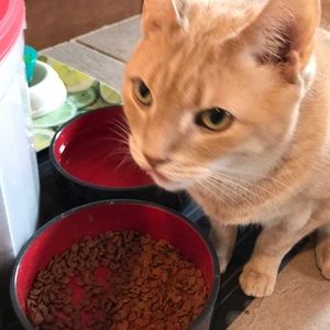 Meet your Posher, Rita